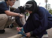 Memberdayakan Siswa Menjadi Pemecah Masalah Dunia Nyata |  Edutopia
