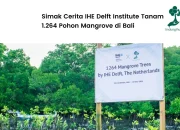 Rayakan Forum Air Dunia ke-10, IHE Delft Institute Tanam 1.264 Pohon Mangrove di Bali
