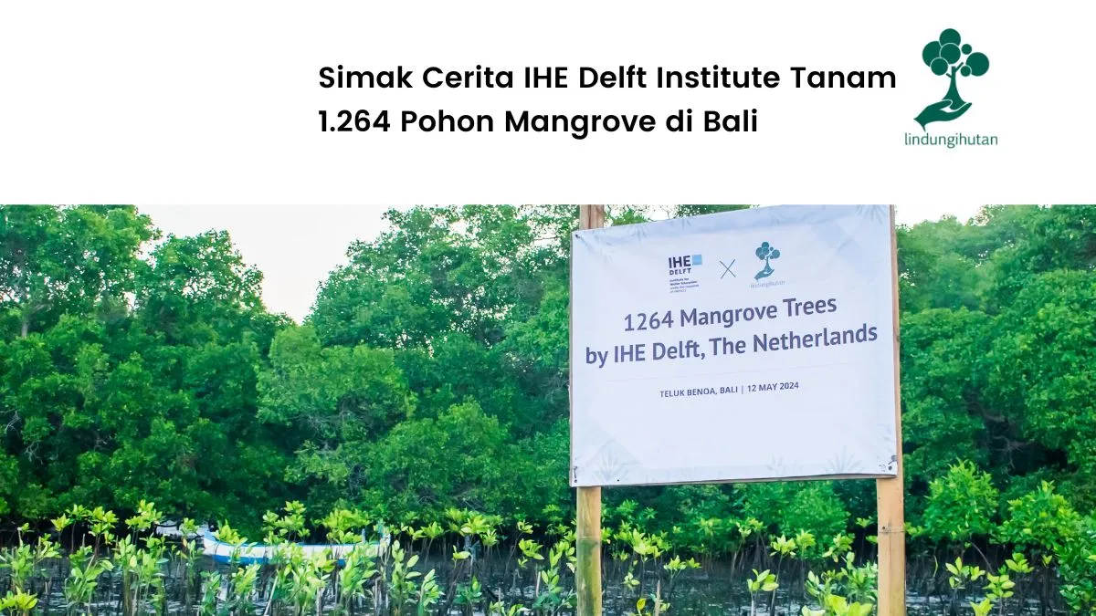 rayakan-forum-air-dunia-ke-10,-ihe-delft-institute-tanam-1.264-pohon-mangrove-di-bali