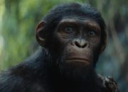 Produser Singgung Nasib Sekuel Usai Kingdom of the Planet of the Apes