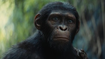 produser-singgung-nasib-sekuel-usai-kingdom-of-the-planet-of-the-apes