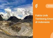 5+ Fakta Unik Tambang Emas di Indonesia yang Belum Kamu Ketahui
