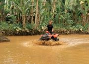 29 Aktivitas Seru yang Bisa Dilakukan di Bobocabin