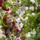 foto:-warna-warni-adem-di-pameran-bunga-rhs-chelsea