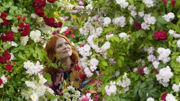 foto:-warna-warni-adem-di-pameran-bunga-rhs-chelsea
