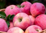 7 Makanan Sehat Rendah Gula, Cocok untuk Penderita Kencing Manis