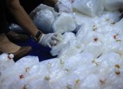 Caleg DPRK Aceh PKS Gunakan Uang Jual Sabu untuk Biaya Kampanye