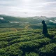 10-lokasi-camping-dan-glamping-bandung-pinggir-sungai-dengan-view-menarik!