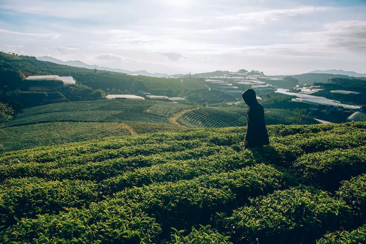 10-lokasi-camping-dan-glamping-bandung-pinggir-sungai-dengan-view-menarik!