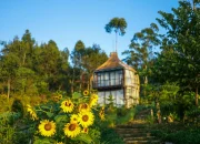7 Rekomendasi Glamping di Ciwidey Bandung