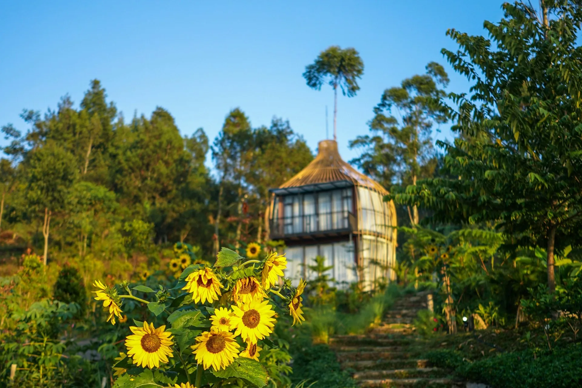 7-rekomendasi-glamping-di-ciwidey-bandung