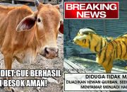 11 Siasat Cerdik Hewan Kurban Agar Terhindar dari Penyembelihan. Keselamatan Diri Wajib Dijaga!