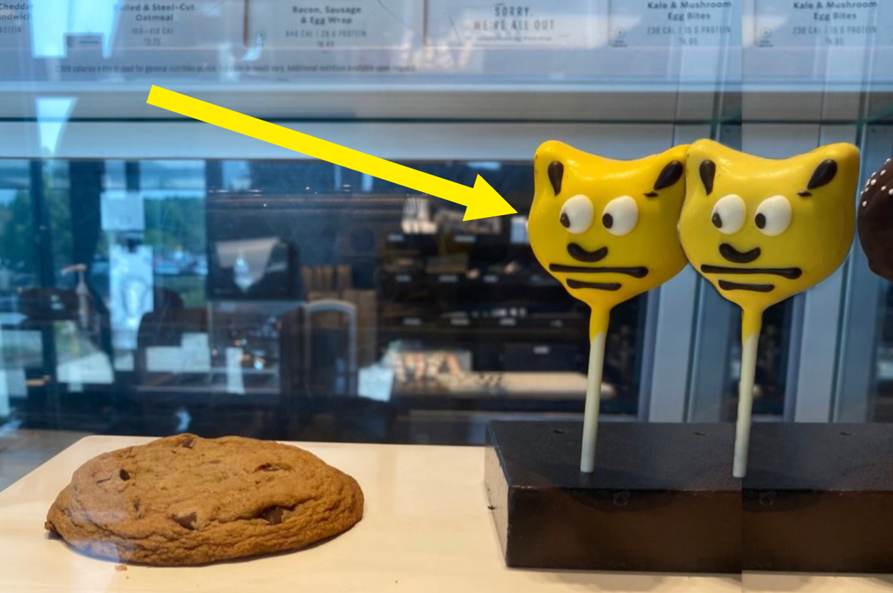 kue-pops-starbucks-ini-menjadi-viral-karena-tidak-seharusnya-menjadi-kucing-yang-tidak-puas