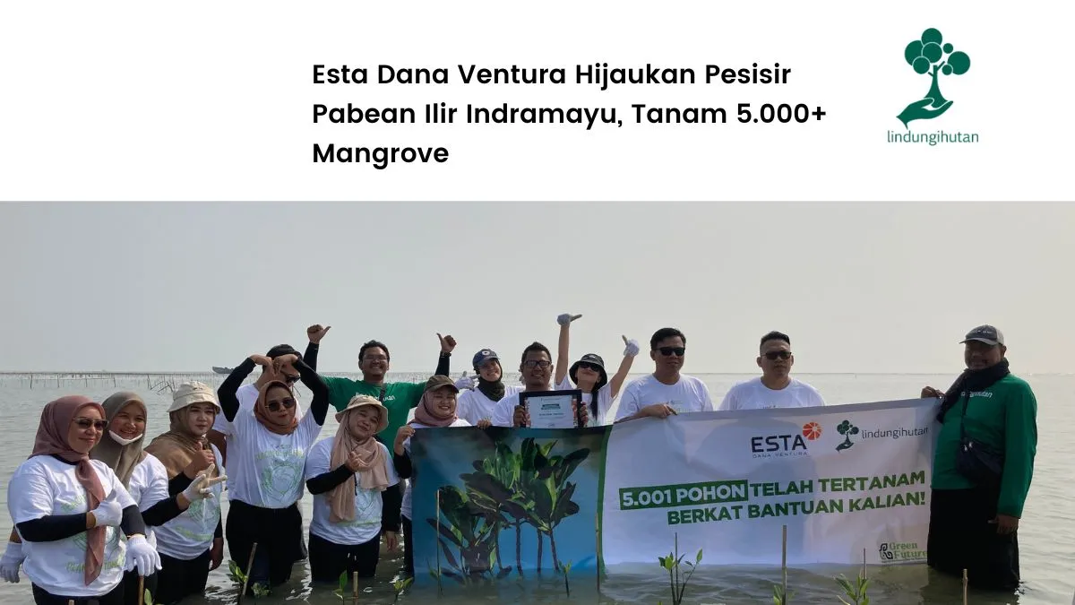 dukung-tujuan-pembangunan-berkelanjutan,-pt-hino-finance-indonesia-tanam-3.412-mangrove-di-bali