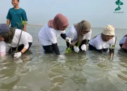 Kontribusi Hijau Esta Dana Ventura Tanam 5.001 Pohon Mangrove di Pesisir Indramayu