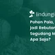 mengenal-pohon-pala,-pohon-rempah-khas-indonesia-dengan-berbagai-manfaatnya