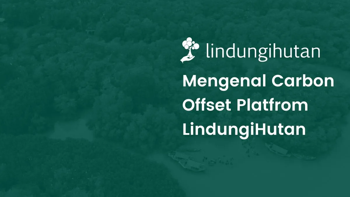 carbon-offset-platform-lindungihutan:-hitung-emisinya-dengan-imbangi,-tanam-pohonnya-dengan-kami