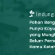 kayu-bengkirai:-ciri-ciri-dan-manfaatnya-untuk-lingkungan