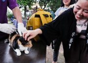 FOTO: Pet Lover Berbondong Bawa ‘Anabul’ Vaksin Rabies Gratis