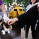 foto:-pet-lover-berbondong-bawa-‘anabul’-vaksin-rabies-gratis