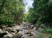 Lubang Renang Cedar Creek yang Indah Di Brisbane