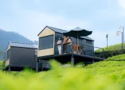 Serunya Menginap di 3 Pilihan Glamping Bintan Kepulauan Riau Ini