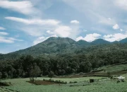 7 Rekomendasi Glamping di Batu Malang dan Sekitarnya