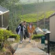 10-glamping-pengalengan-bandung-ini-bikin-betah-berlama-lama