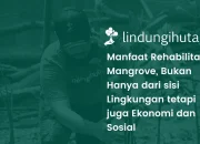 Cerita Manfaat Penanaman Mangrove bagi Mitra Petani LindungiHutan