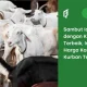 update!-harga-kambing-kurban-2024,-bagaimana-cara-pilihnya?
