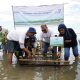 inisiasi-jaga-lingkungan,-asuransi-astra-tanam-1.000-bibit-mangrove-di-pulau-pramuka