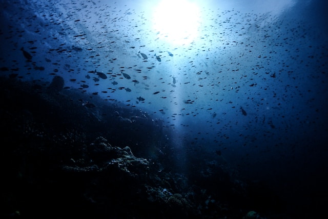 rekomendasi-wisata-bahari-indonesia:-spot-snorkeling-dan-diving-terbaik