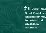 Harimau Sumatera, Pernah Dengar Tentangnya?