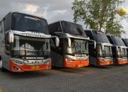 Yuk Intip 6 Jenis dan Harga Bus Pariwisata di Indonesia