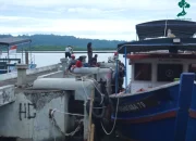 Kampung Laut Cilacap: Cerita Konservasi Hutan Mangrove dan Dampaknya bagi Masyarakat
