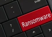 Apa Itu Brain Cipher Ransomware? Ketahui Infonya!