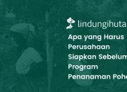 Pentingnya Gerakan Menanam Pohon bagi Perusahaan