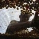 foto:-cita-rasa-kopi-bromo-yang-tak-tergantikan