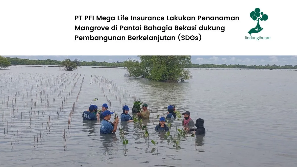 komitmen-pt-pfi-mega-life-insurance-gelar-aksi-penghijauan-di-pesisir-bekasi