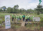 BAF Eco Move: Komitmen Lingkungan Bussan Auto Finance Taman Lebih 20.000 Mangrove