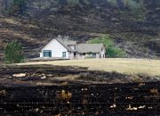 Cara Menyelamatkan Rumah Anda dari Kebakaran Hutan