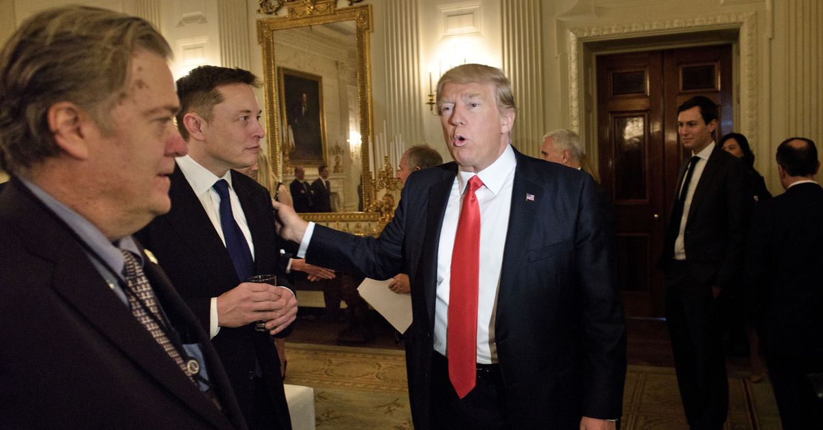 dengan-mendukung-trump,-elon-musk-mempertaruhkan-masa-depan-tesla