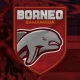 kalahkan-persib,-borneo-fc-tak-ubah-target-minimalis-di-piala-presiden-2024