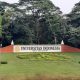 diduga-bocor,-data-universitas-indonesia-(ui)-diperjualbelikan-di-forum-hacker