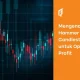 mengenal-hammer-candlestick,-senjata-ampuh-untuk-mengoptimalkan-profit