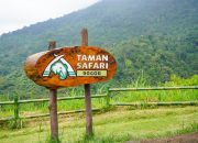 Sistem Baru Tiket Taman Safari Bogor, Ini Detailnya