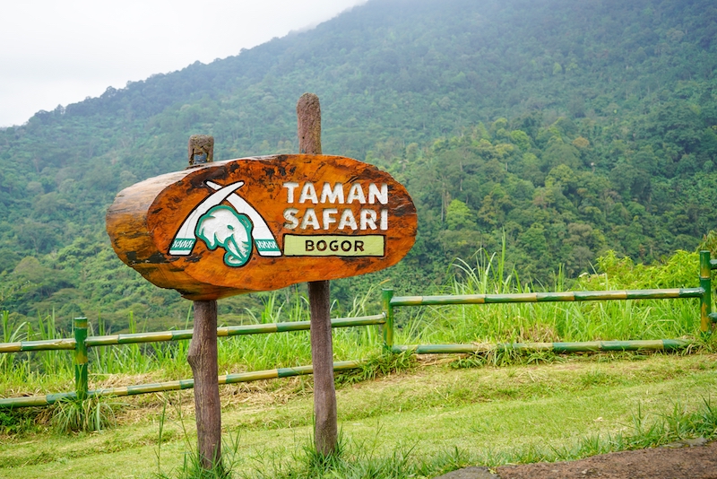 sistem-baru-tiket-taman-safari-bogor,-ini-detailnya