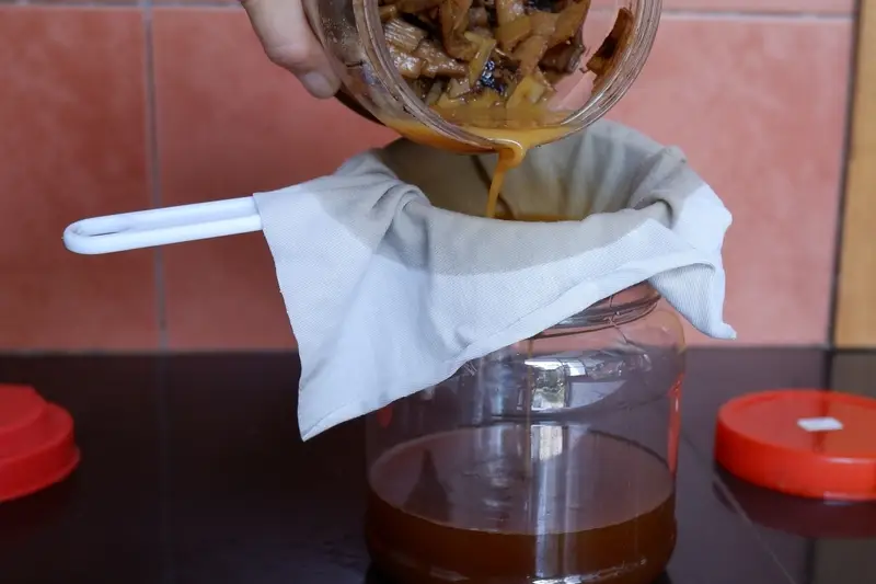 mengenal-eco-enzyme,-mulai-dari-cara-membuat-hingga-manfaatnya