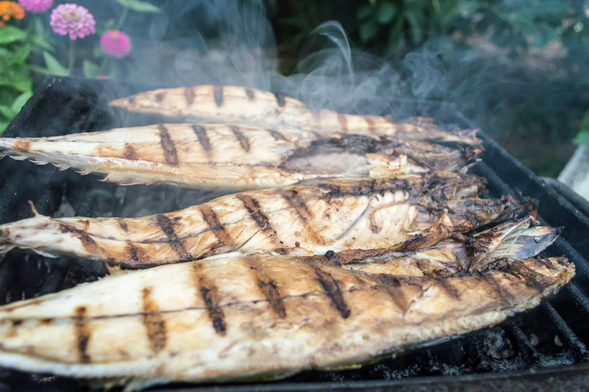 9-rumah-makan-seafood-di-manado,-rasanya-menggoyang-lidah!