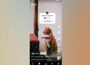 YouTube Uji Coba Stiker “Add Yours” untuk Shorts